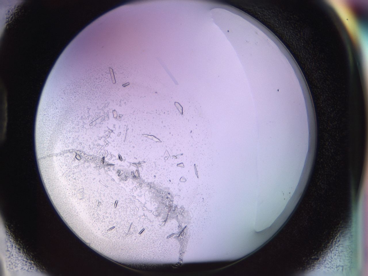 02tw_D3_ImagerDefaults_9.jpg