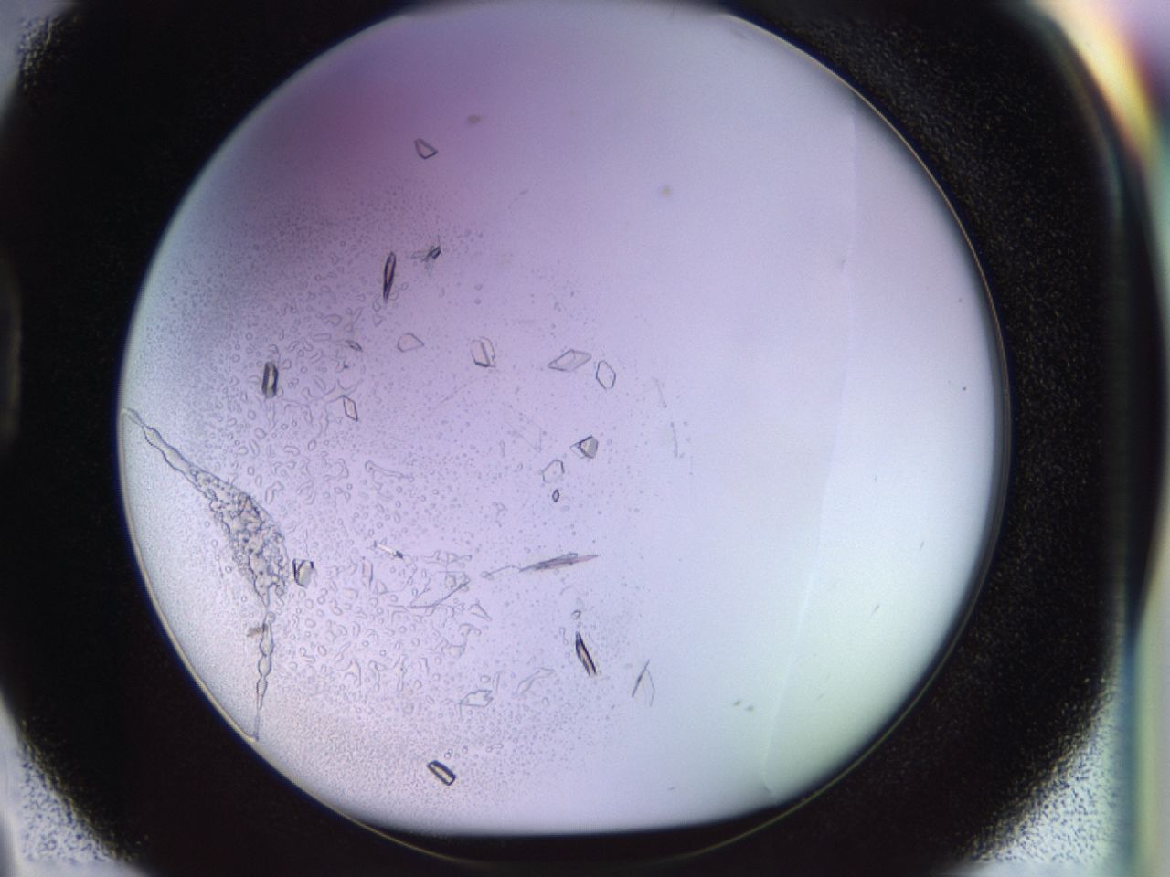 02tw_D2_ImagerDefaults_9.jpg