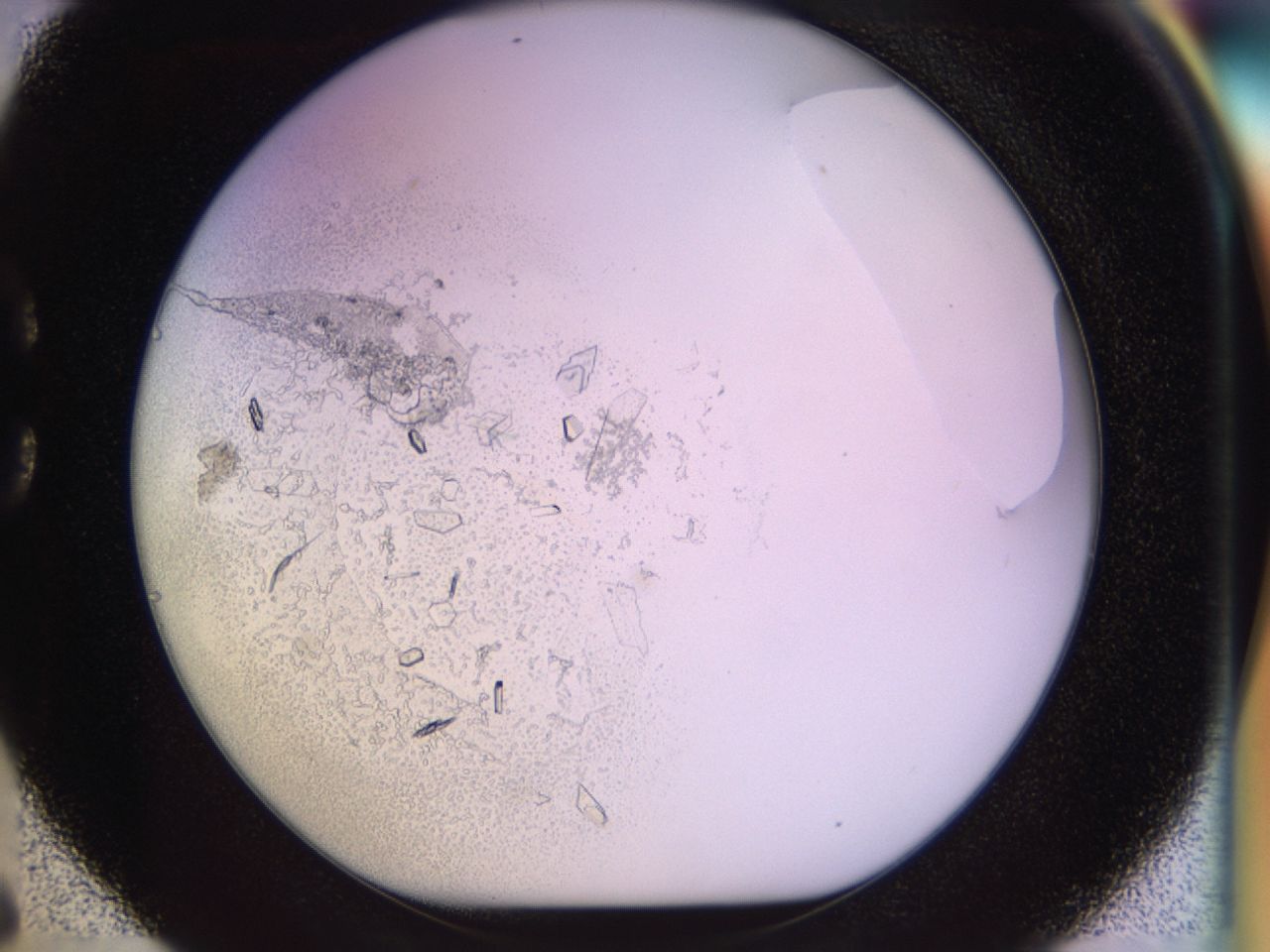 02tw_C6_ImagerDefaults_9.jpg