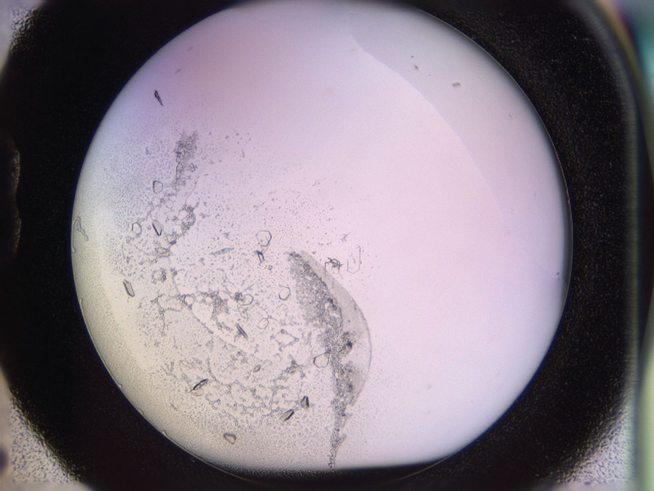 02tw_B5_ImagerDefaults_9.jpg