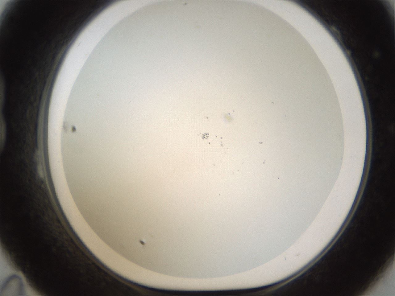 folderID213_plateID1213_batchID3692_wellNum23_profileID1_d1_r69004_ef.jpg