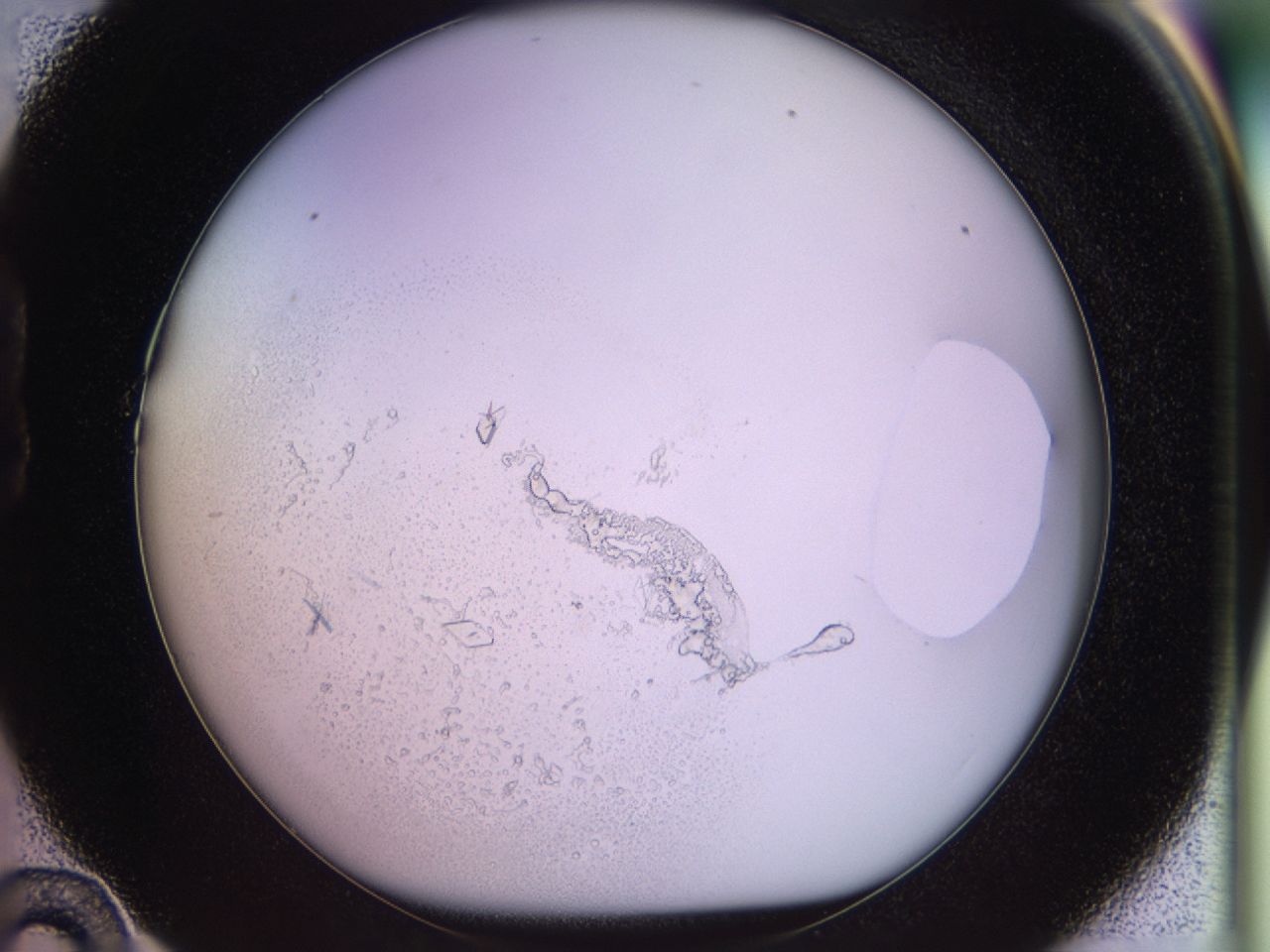 02tw_B10_ImagerDefaults_9.jpg