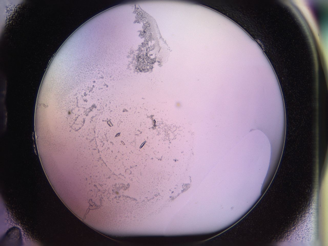 02tw_B11_ImagerDefaults_9.jpg
