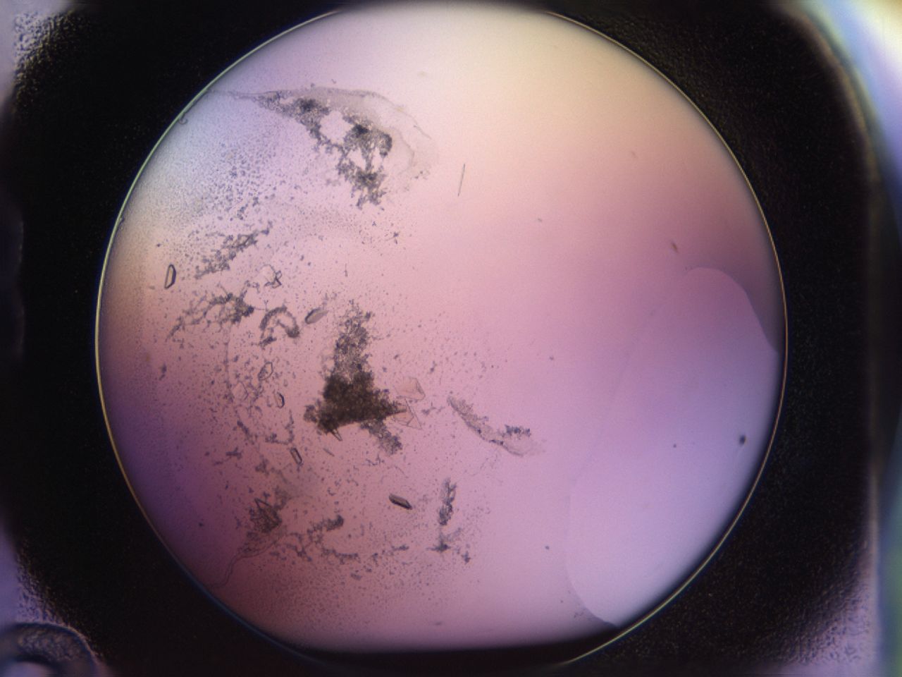 02tw_B12_ImagerDefaults_9.jpg