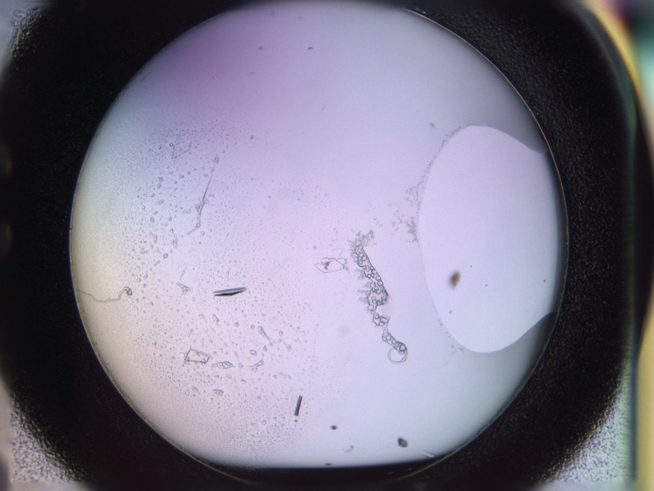 02tw_C8_ImagerDefaults_9.jpg