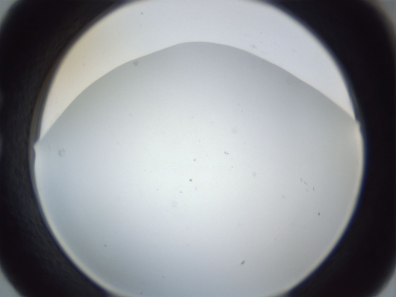 folderID217_plateID1217_batchID3671_wellNum29_profileID1_d1_r68824_ef.jpg