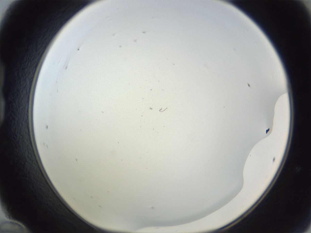 folderID217_plateID1217_batchID3671_wellNum24_profileID1_d1_r68814_ef.jpg