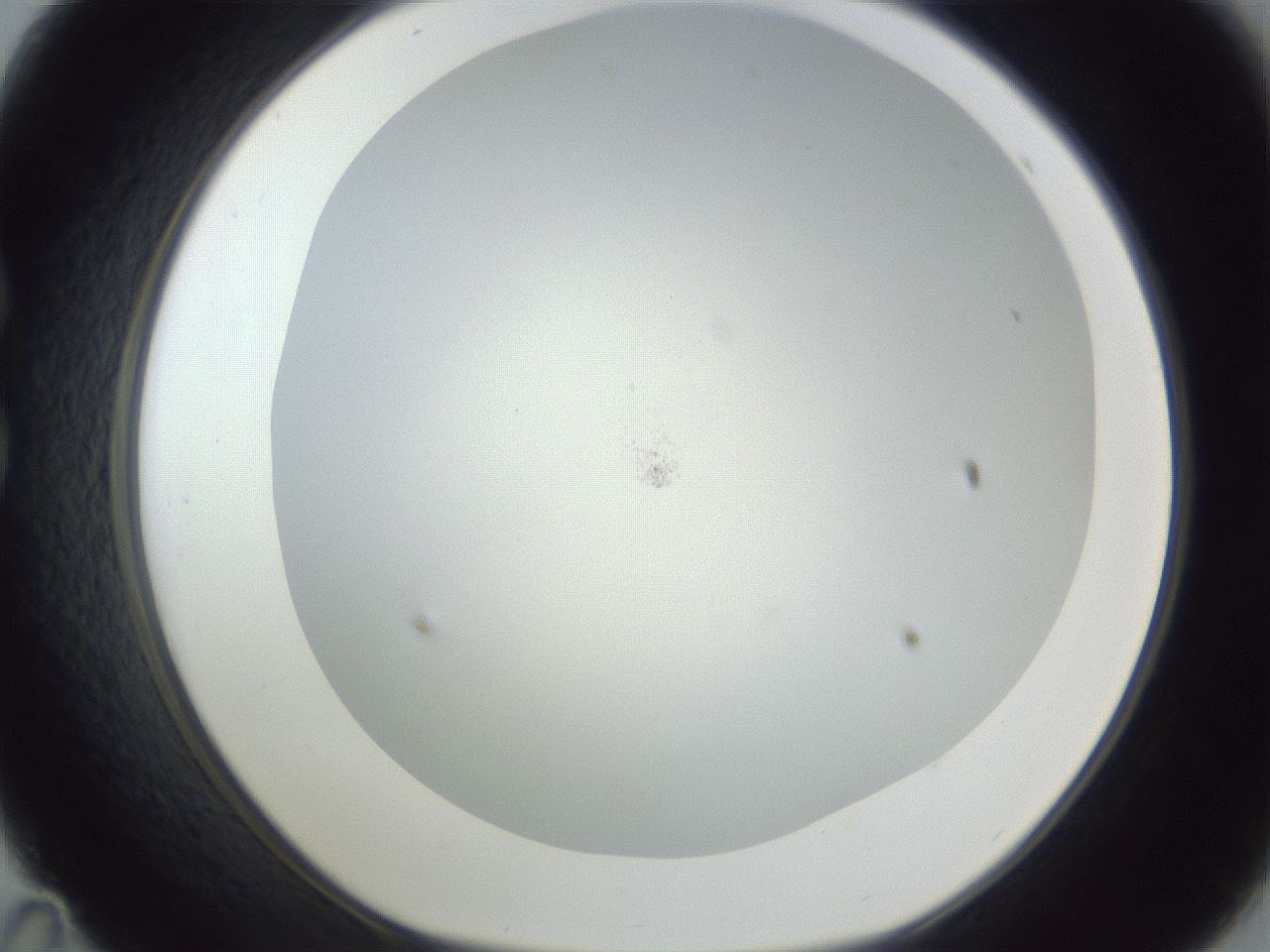 folderID217_plateID1217_batchID3671_wellNum35_profileID1_d1_r68836_ef.jpg