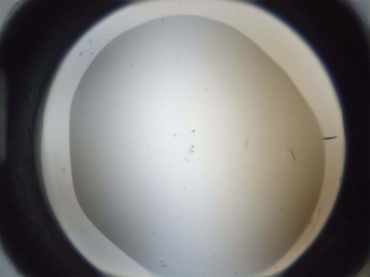 folderID217_plateID1217_batchID3671_wellNum92_profileID1_d1_r68950_ef.jpg