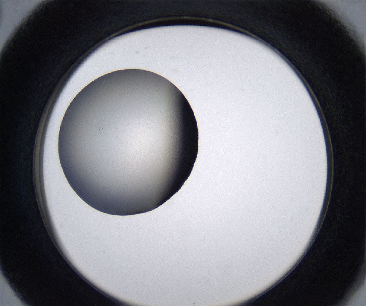 folderID219_plateID2219_batchID10051_wellNum80_profileID1_d2_r151254_ef.jpg