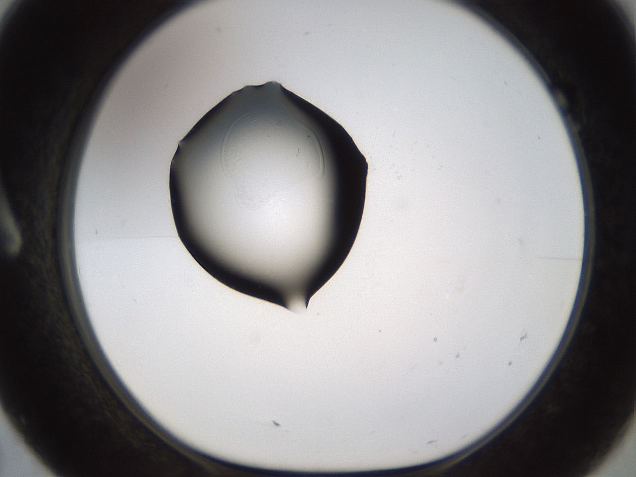 folderID220_plateID1220_batchID3717_wellNum7_profileID1_d1_r67814_ef.jpg