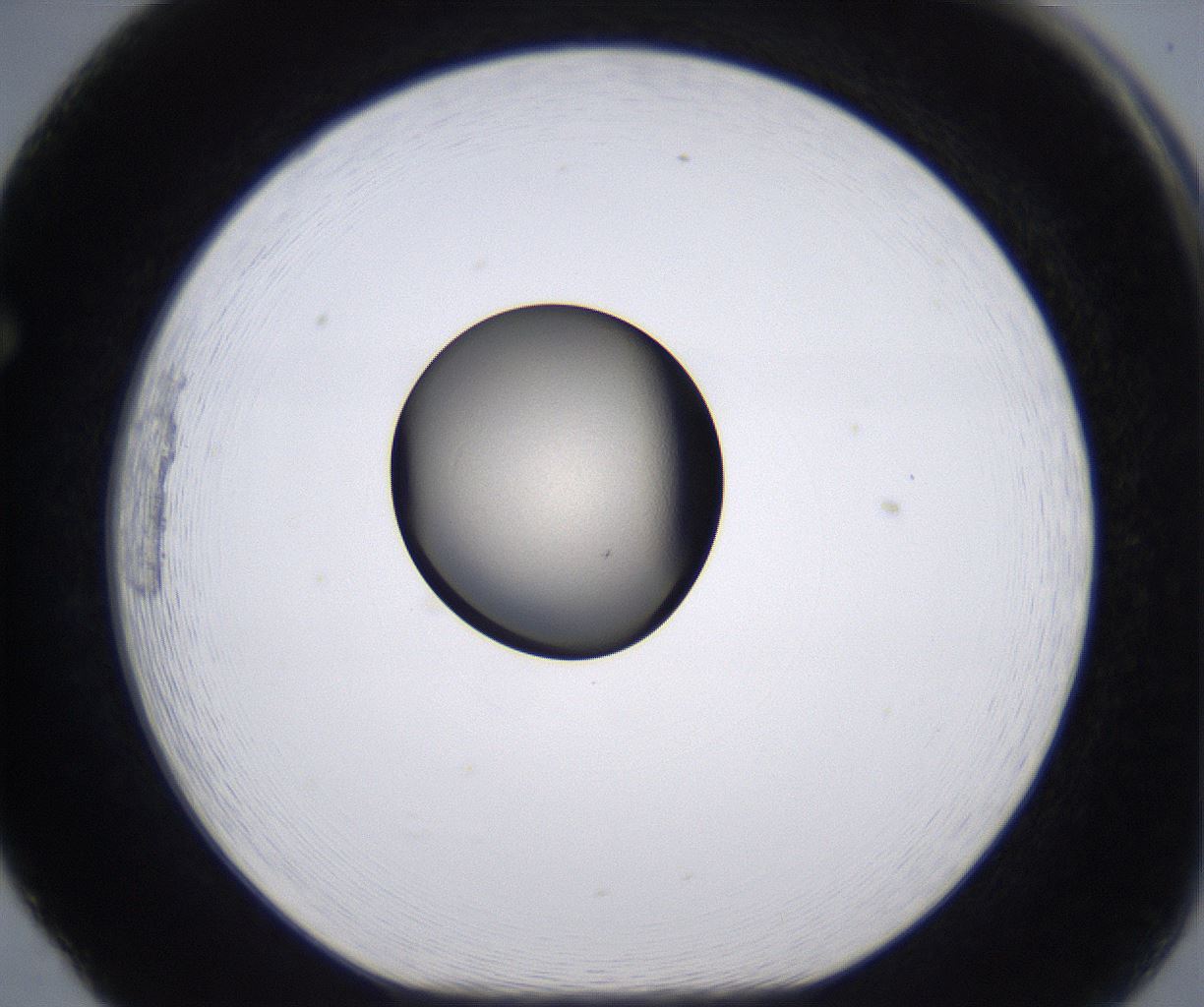 folderID222_plateID2222_batchID10090_wellNum65_profileID1_d1_r152471_ef.jpg
