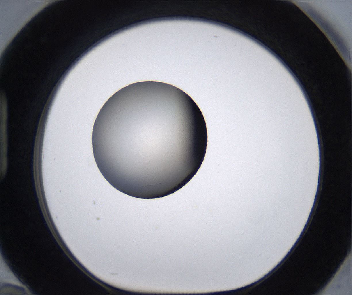 folderID224_plateID2224_batchID10091_wellNum94_profileID1_d1_r152721_ef.jpg