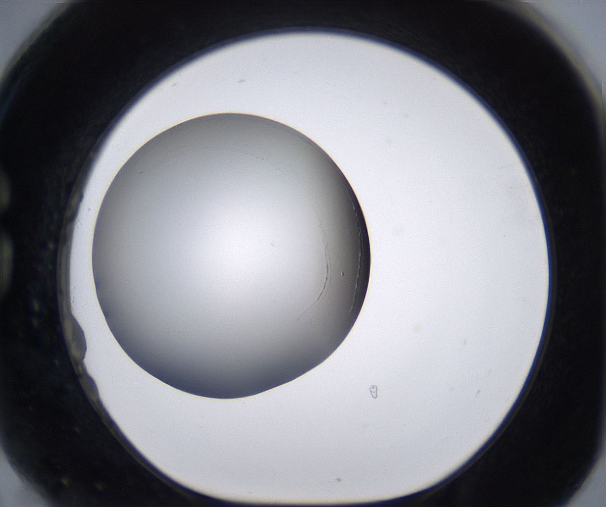 folderID224_plateID2224_batchID10091_wellNum78_profileID1_d1_r152689_ef.jpg