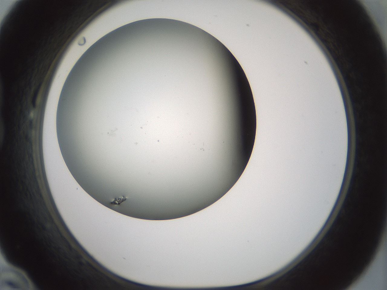 folderID230_plateID1230_batchID3779_wellNum22_profileID1_d1_r70229_ef.jpg