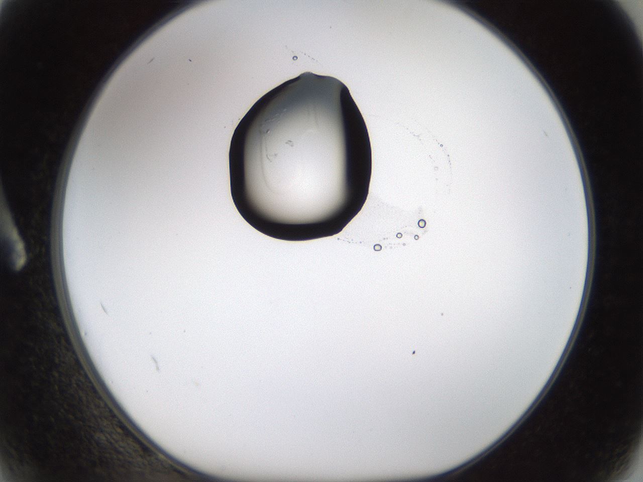 folderID238_plateID1238_batchID3807_wellNum2_profileID1_d1_r72035_ef.jpg