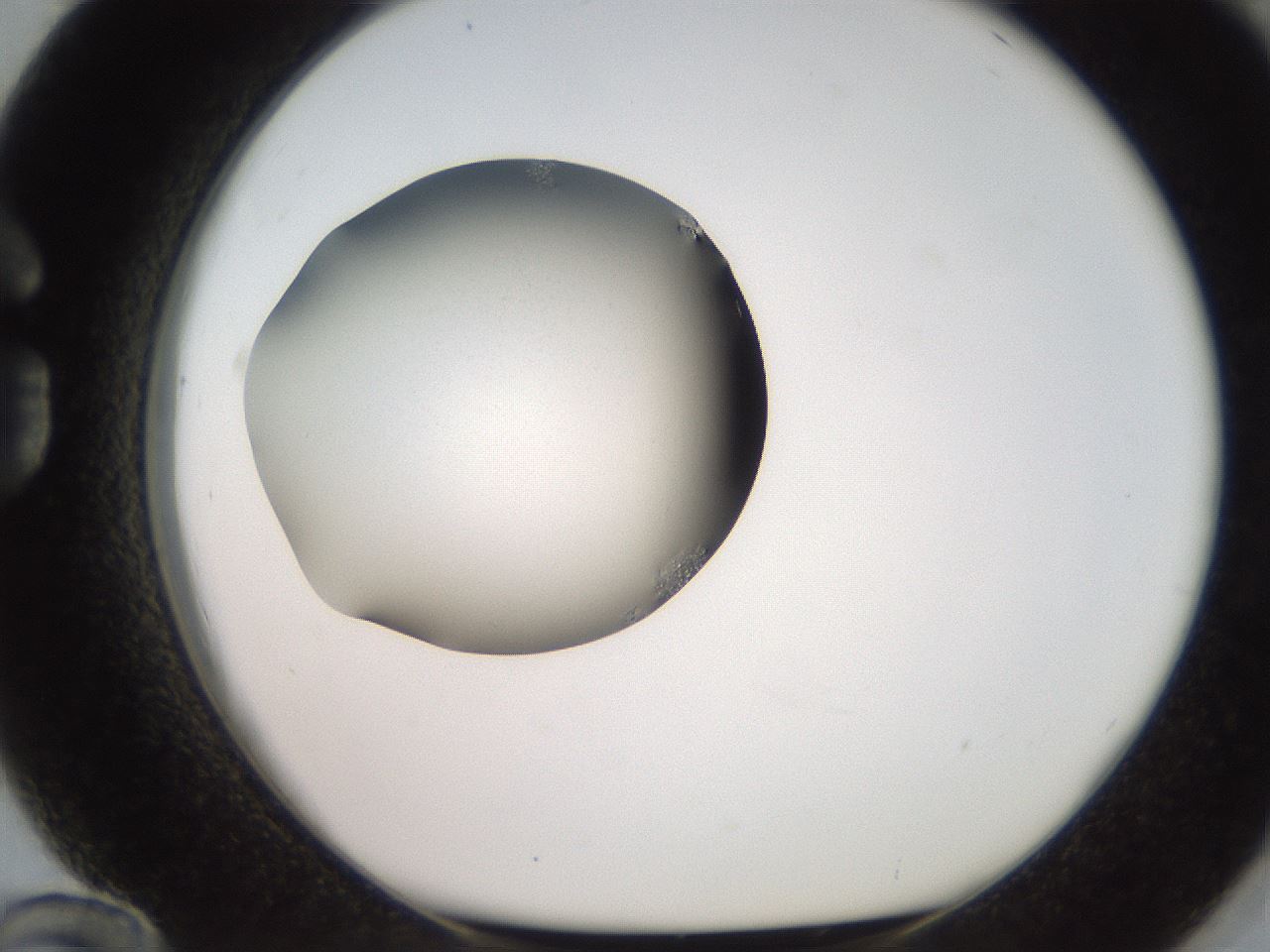 folderID247_plateID2247_batchID10277_wellNum84_profileID1_d1_r155233_ef.jpg