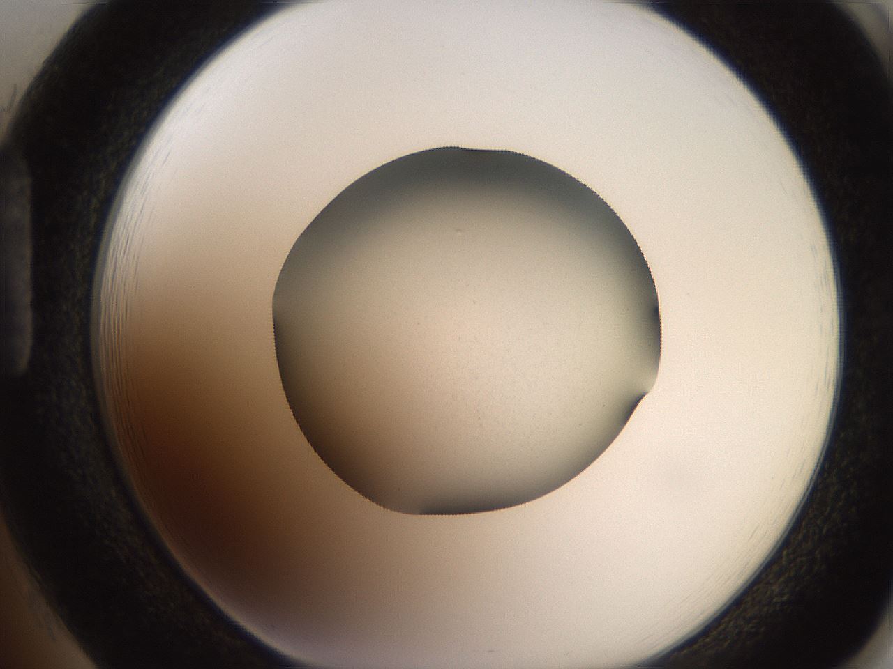 folderID248_plateID2248_batchID10283_wellNum85_profileID1_d1_r156003_ef.jpg