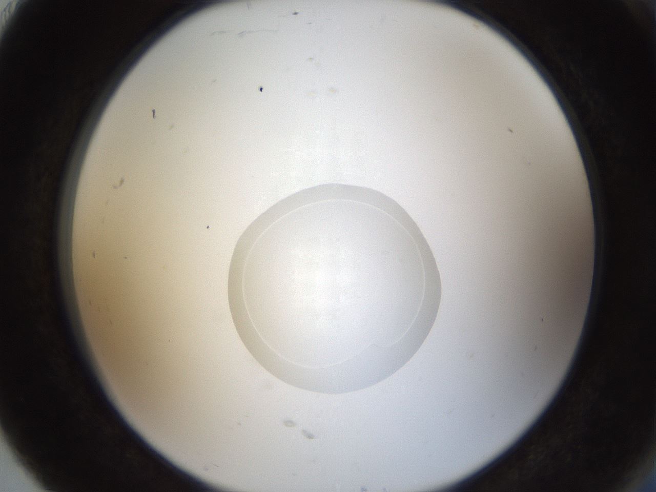 folderID160_plateID1160_batchID3204_wellNum91_profileID1_d2_r62420_ef.jpg
