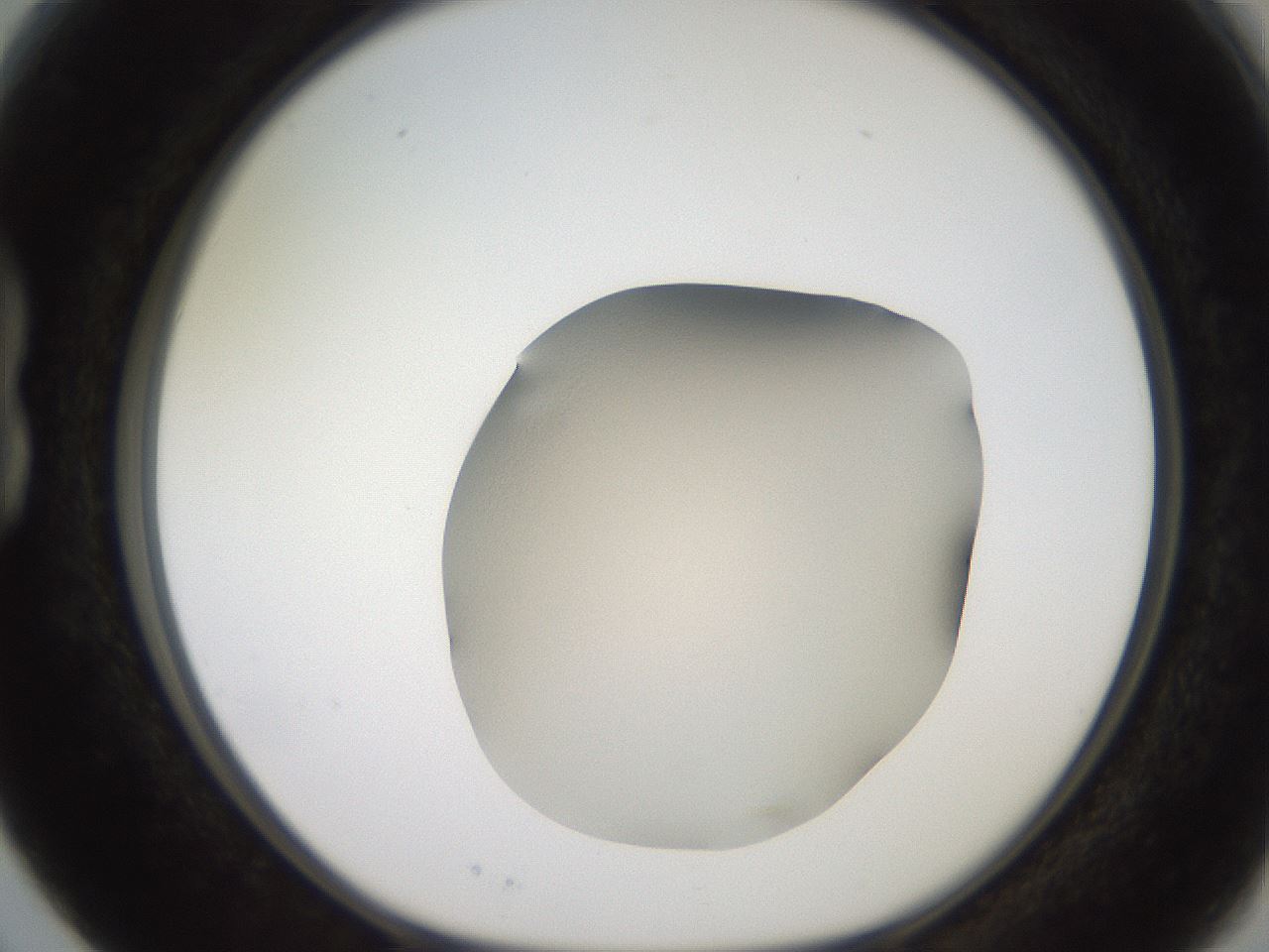 folderID257_plateID2257_batchID10332_wellNum15_profileID1_d1_r156638_ef.jpg
