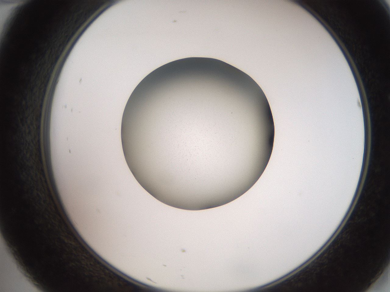 folderID258_plateID2258_batchID10333_wellNum46_profileID1_d2_r156893_ef.jpg