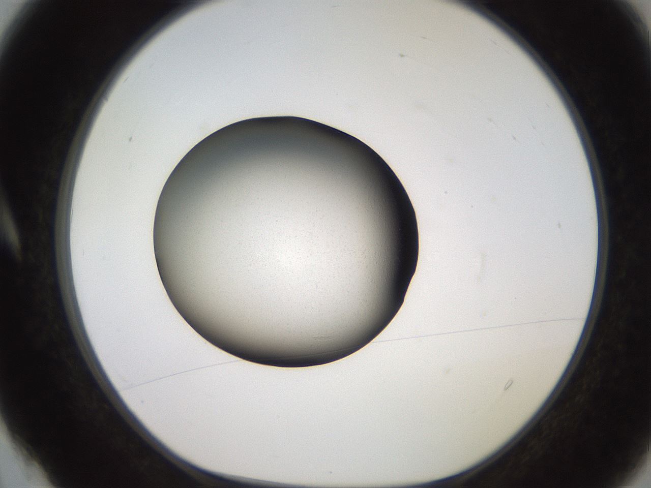 folderID259_plateID2259_batchID10335_wellNum4_profileID1_d1_r157192_ef.jpg