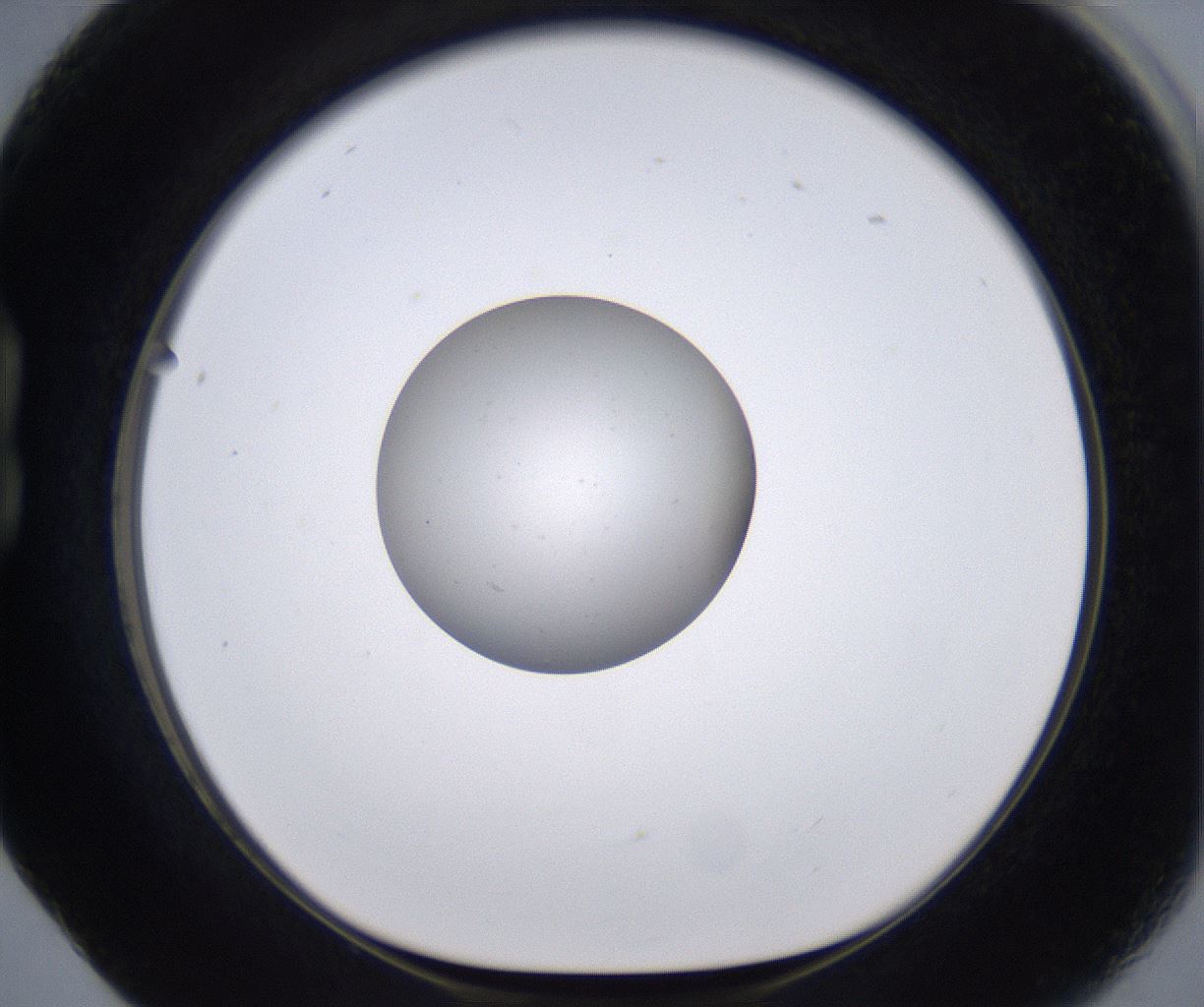folderID264_plateID2264_batchID10350_wellNum17_profileID1_d1_r157394_ef.jpg