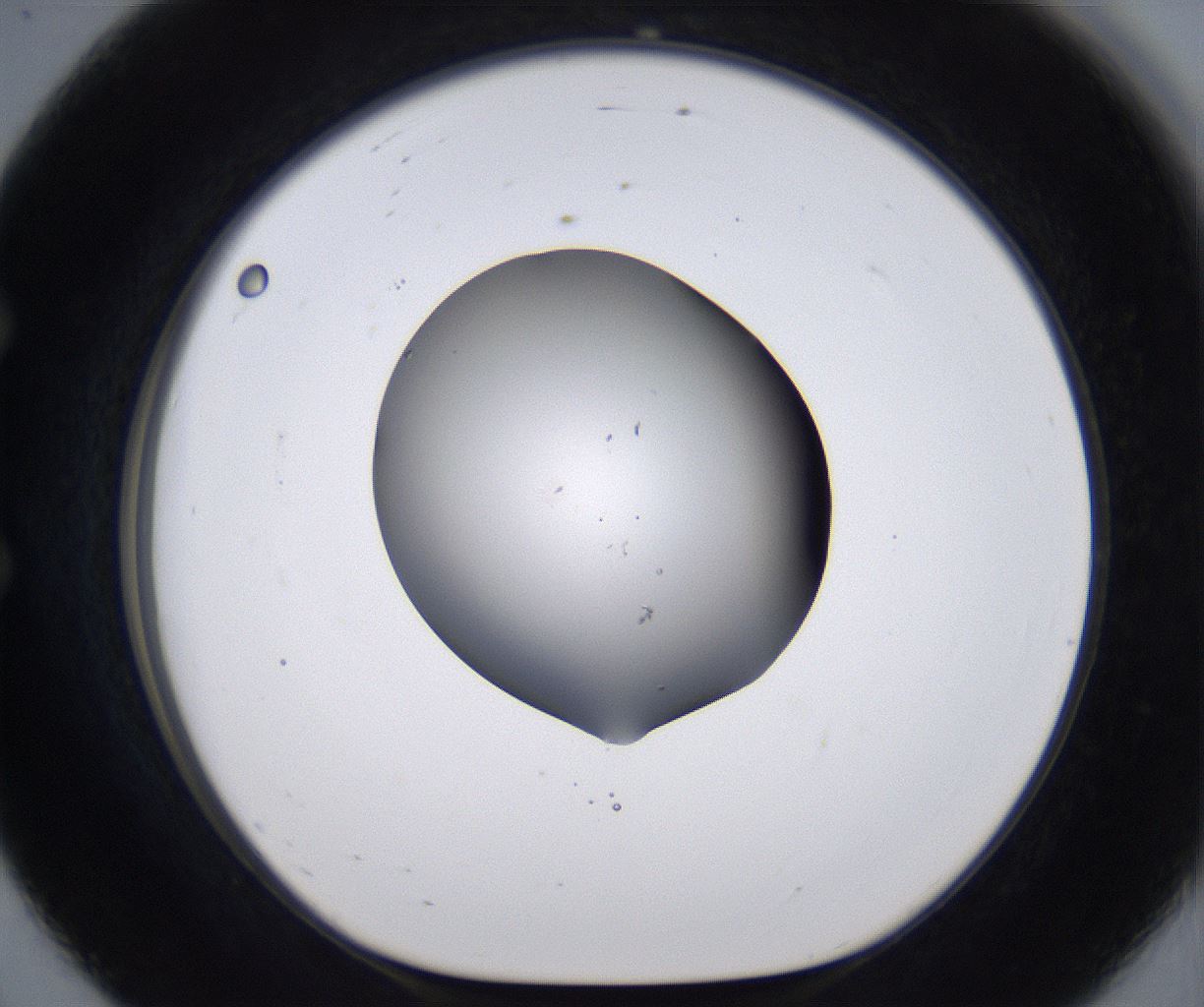 folderID267_plateID2267_batchID10355_wellNum56_profileID1_d1_r157872_ef.jpg