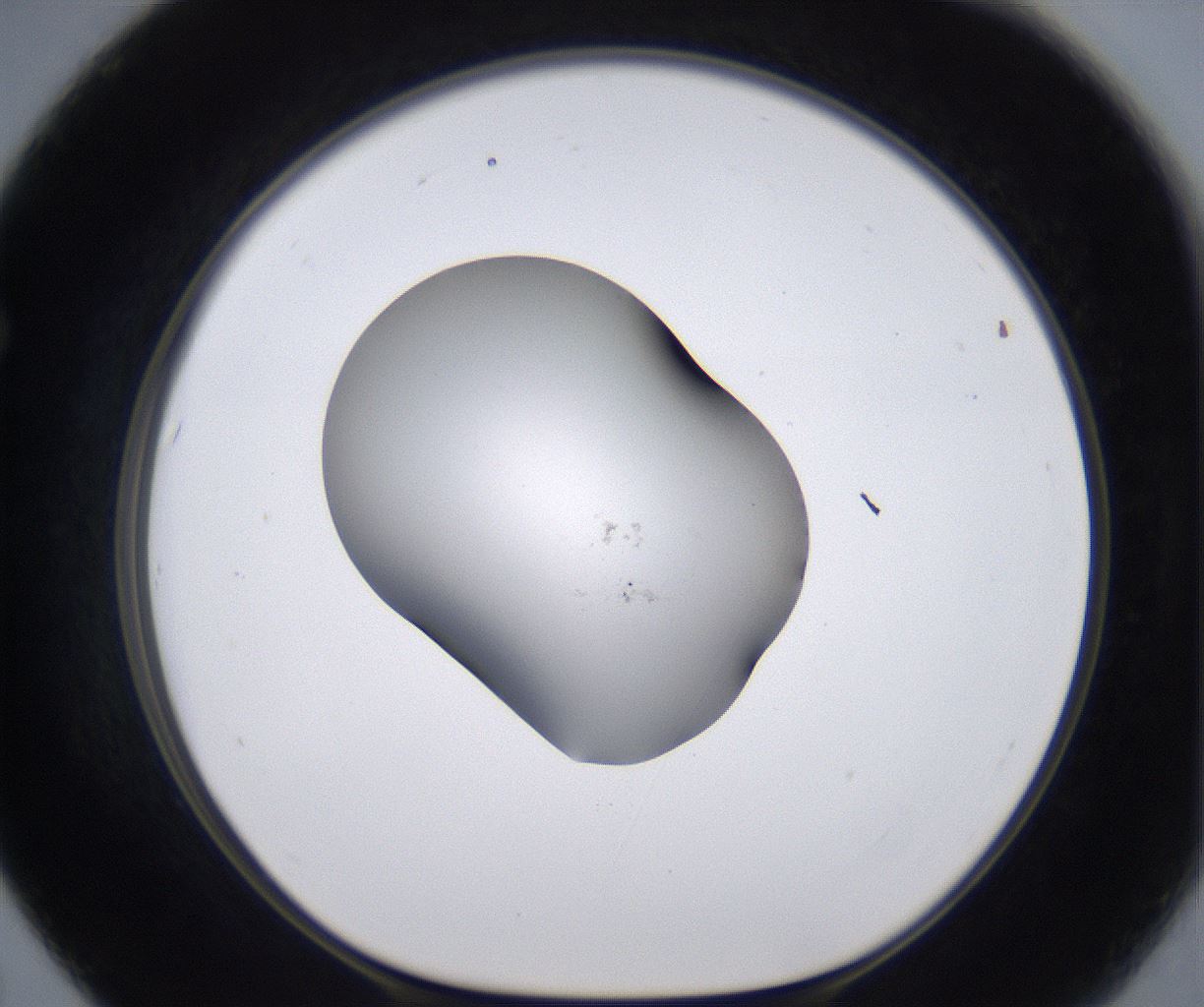 folderID267_plateID2267_batchID10355_wellNum67_profileID1_d1_r157894_ef.jpg