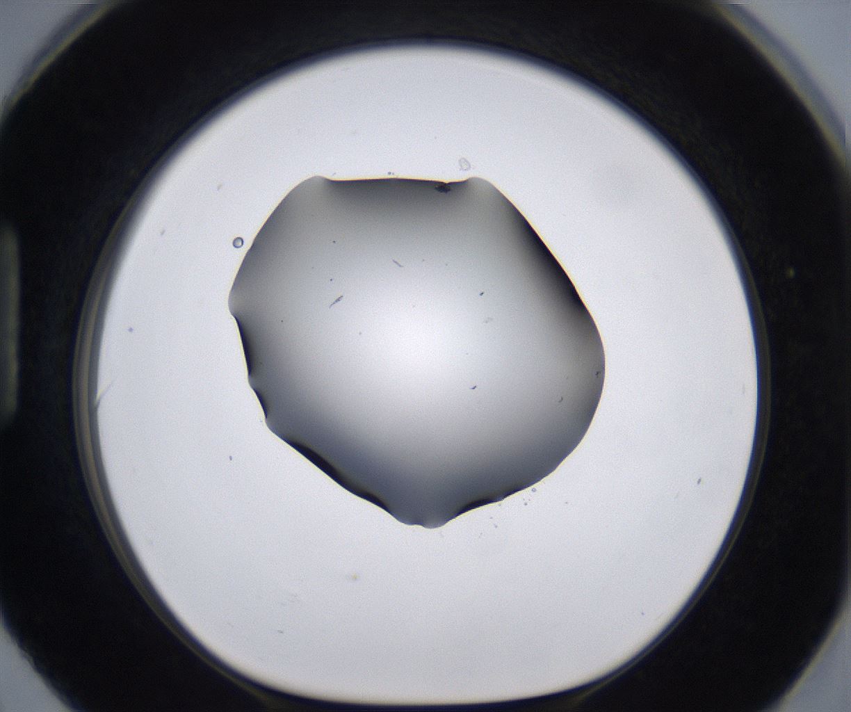 folderID267_plateID2267_batchID10355_wellNum90_profileID1_d1_r157940_ef.jpg