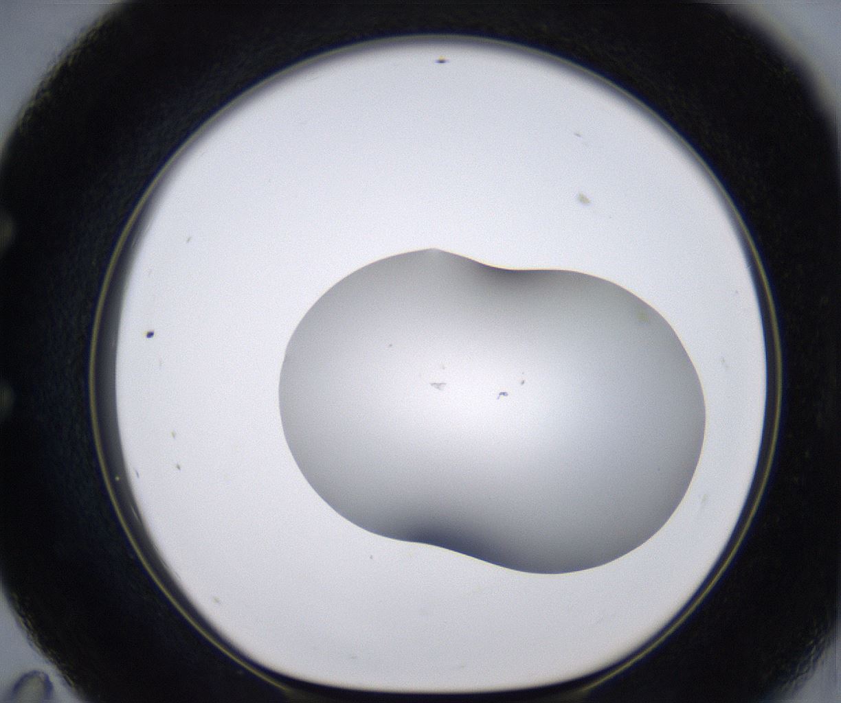 folderID268_plateID2268_batchID10353_wellNum59_profileID1_d1_r157686_ef.jpg