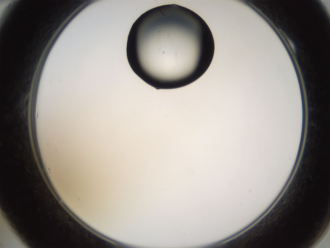 folderID269_plateID1269_batchID4165_wellNum10_profileID1_d2_r73163_ef.jpg