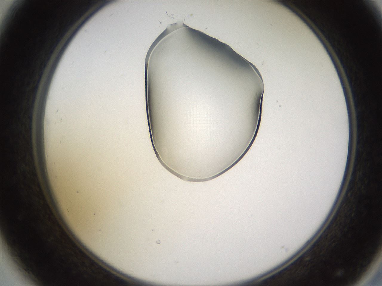 folderID269_plateID1269_batchID4165_wellNum44_profileID1_d2_r73231_ef.jpg
