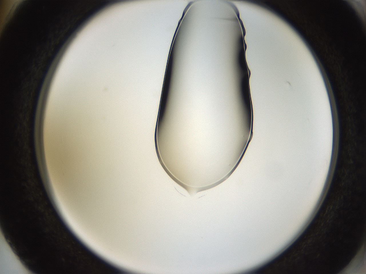 folderID269_plateID1269_batchID4165_wellNum74_profileID1_d2_r73291_ef.jpg