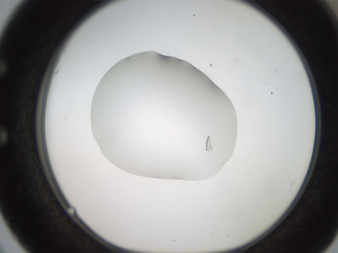 folderID269_plateID2269_batchID10706_wellNum51_profileID1_d1_r158394_ef.jpg