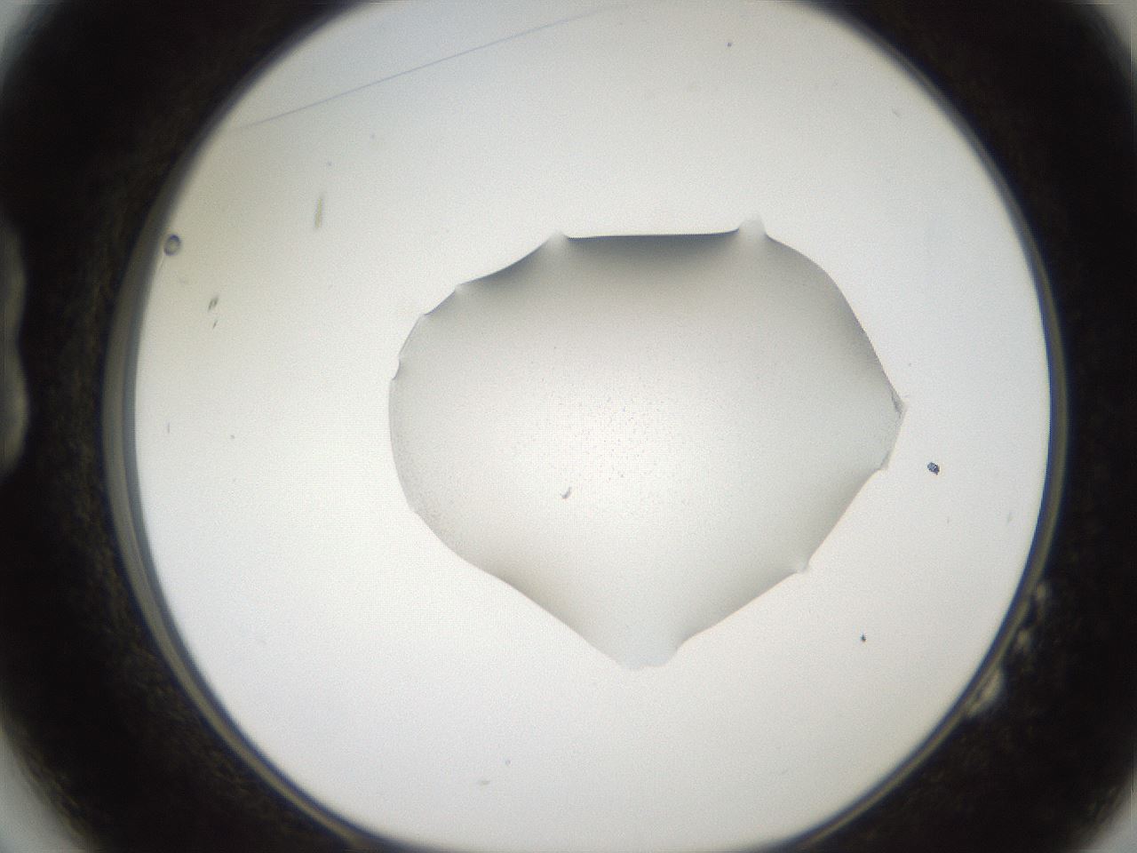 folderID271_plateID2271_batchID10709_wellNum14_profileID1_d1_r158453_ef.jpg