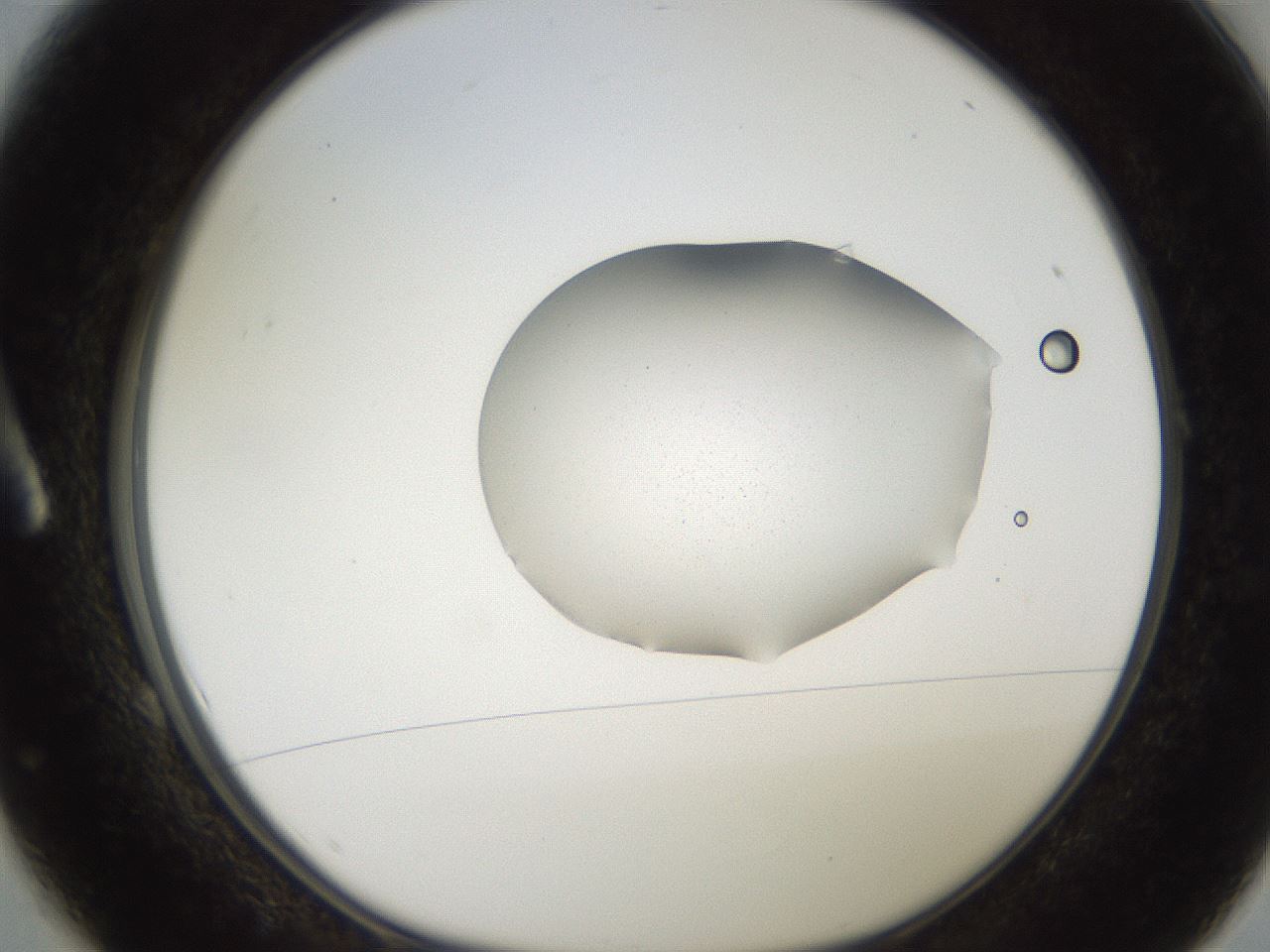 folderID271_plateID2271_batchID10709_wellNum1_profileID1_d1_r158440_ef.jpg