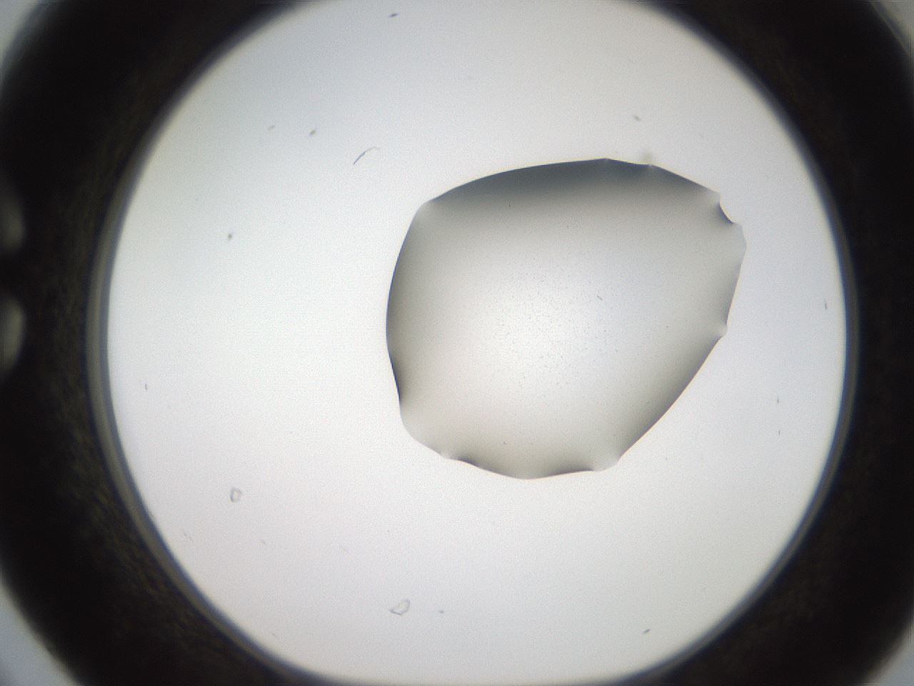 folderID271_plateID2271_batchID10709_wellNum30_profileID1_d1_r158469_ef.jpg