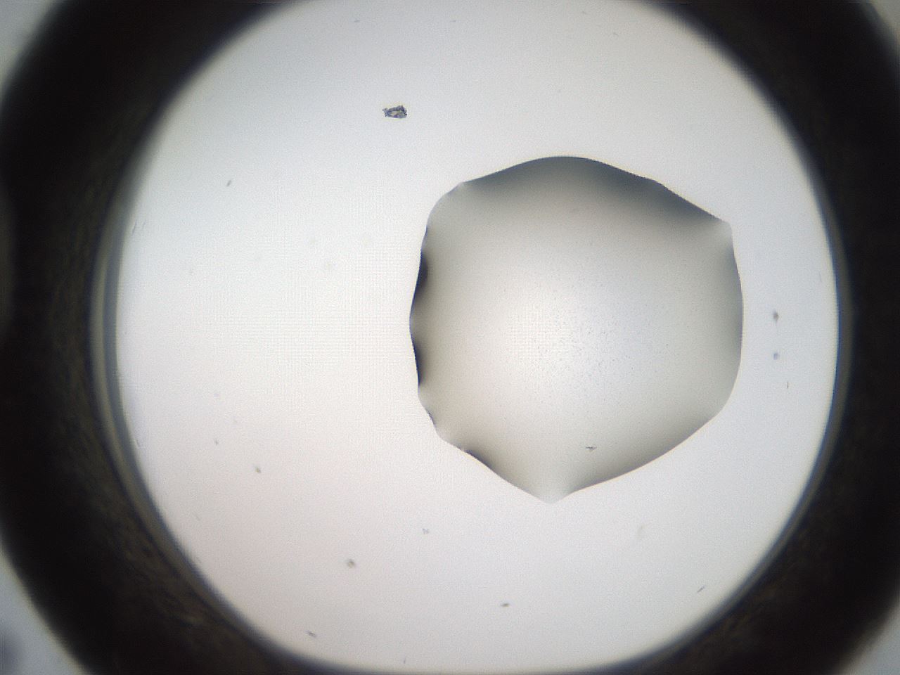 folderID271_plateID2271_batchID10709_wellNum43_profileID1_d1_r158482_ef.jpg