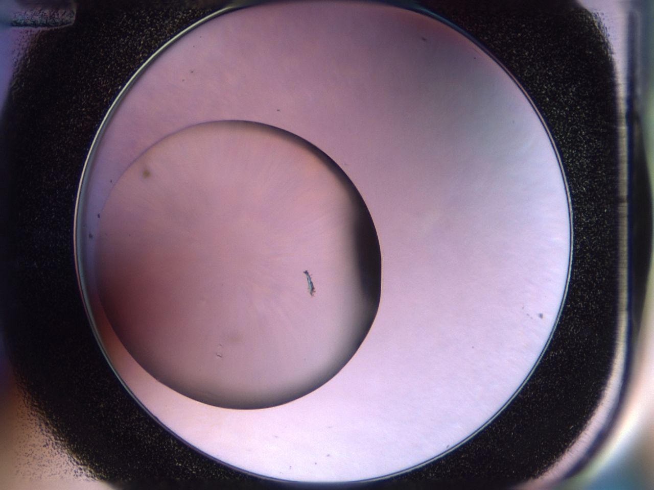 02vd_C12_ImagerDefaults_8.jpg
