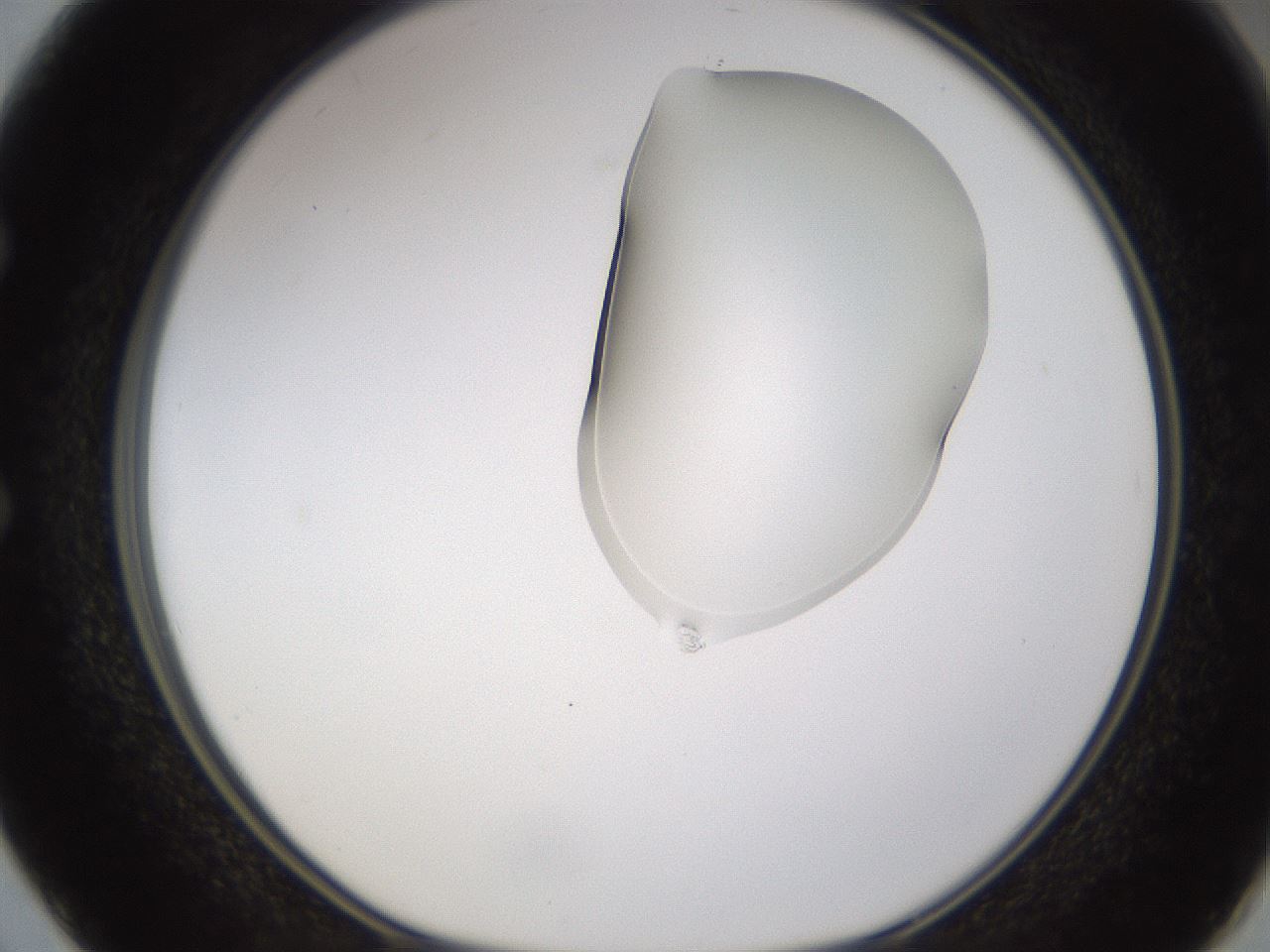 folderID274_plateID1274_batchID4175_wellNum50_profileID1_d1_r76122_ef.jpg