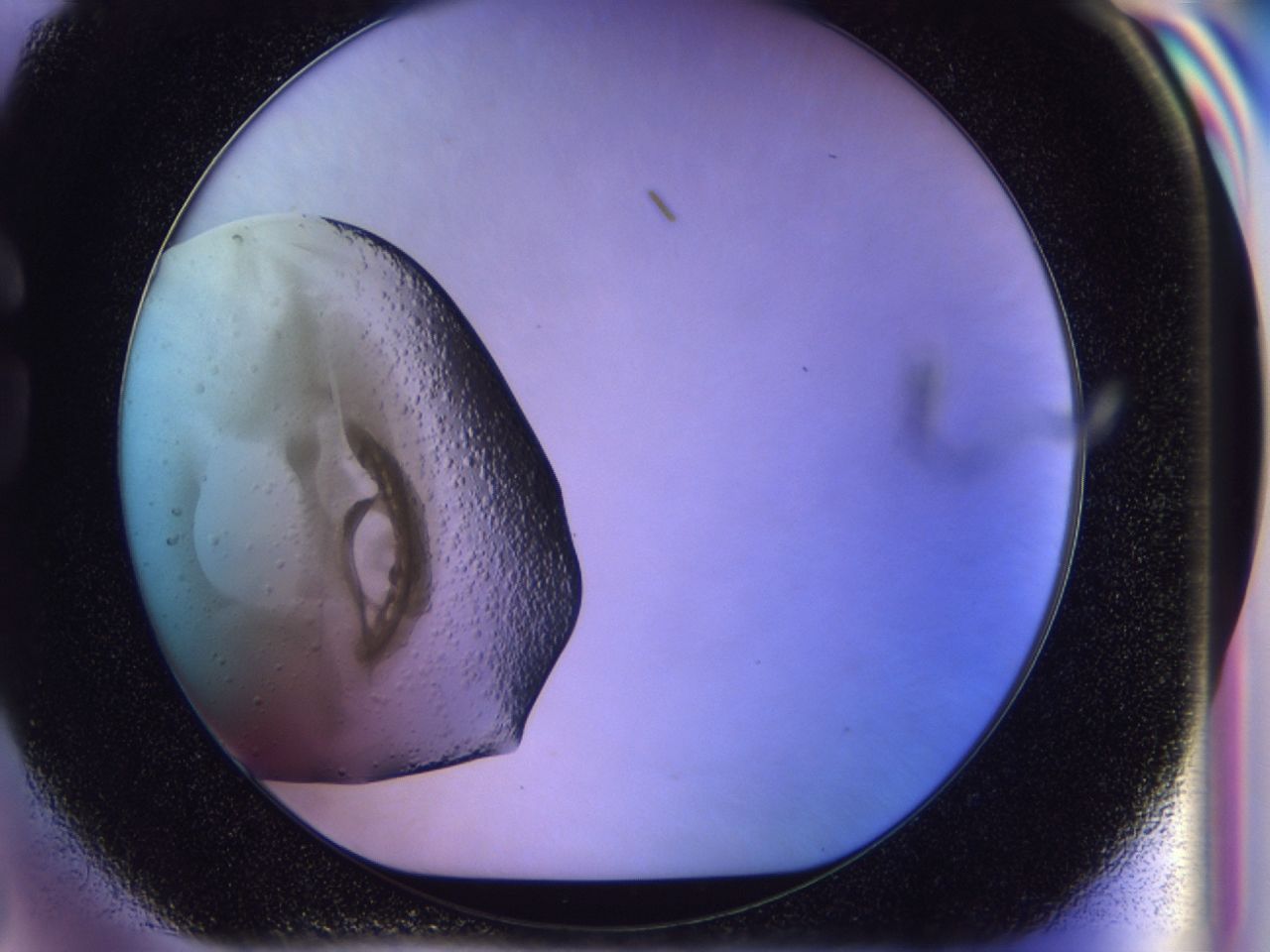 02vd_G3_ImagerDefaults_7.jpg