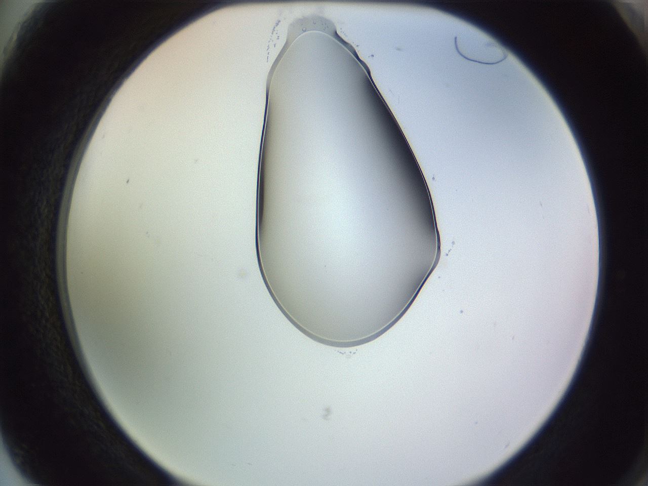 folderID276_plateID1276_batchID4164_wellNum75_profileID1_d2_r73101_ef.jpg