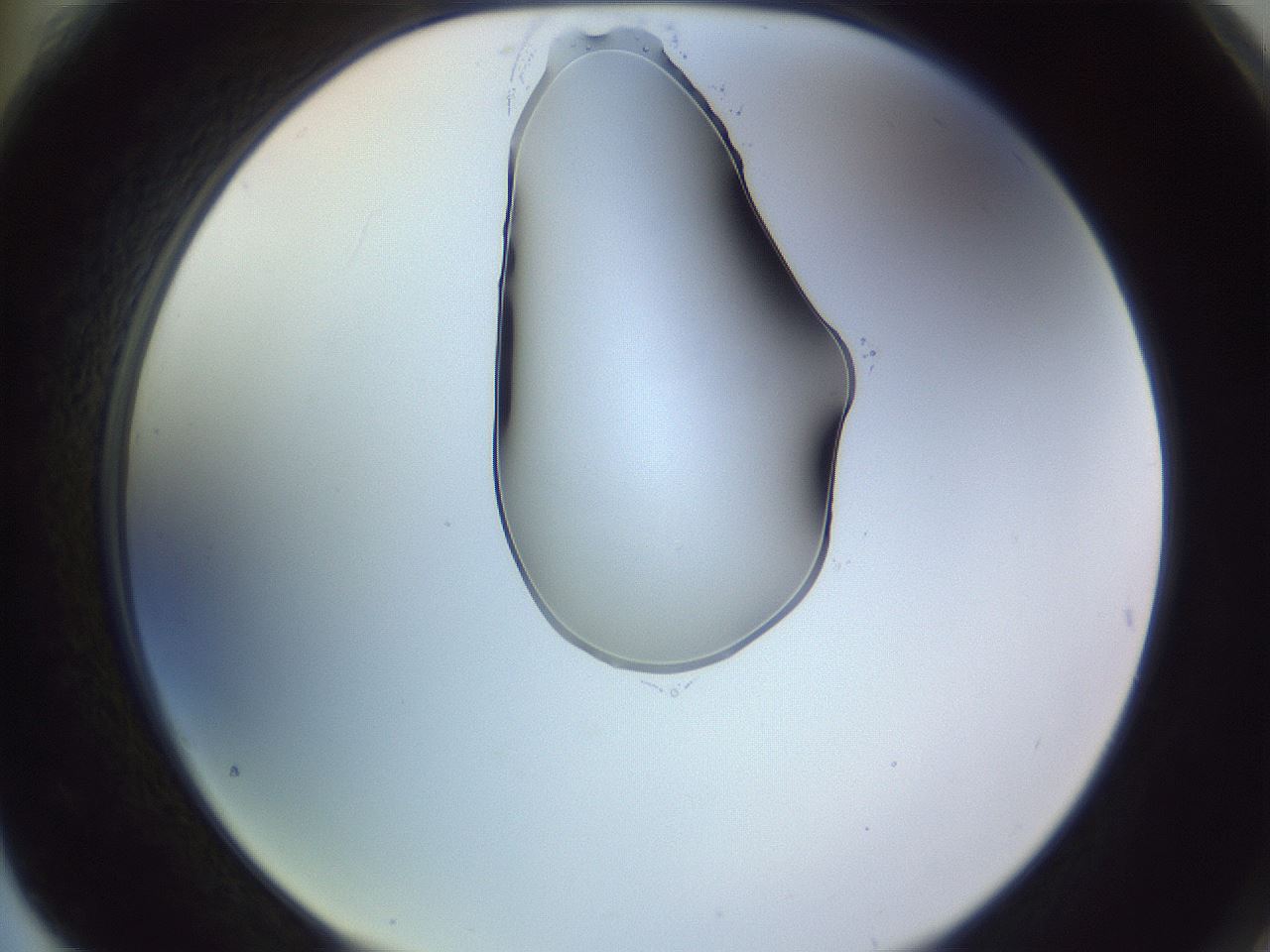 folderID276_plateID1276_batchID4164_wellNum76_profileID1_d2_r73103_ef.jpg