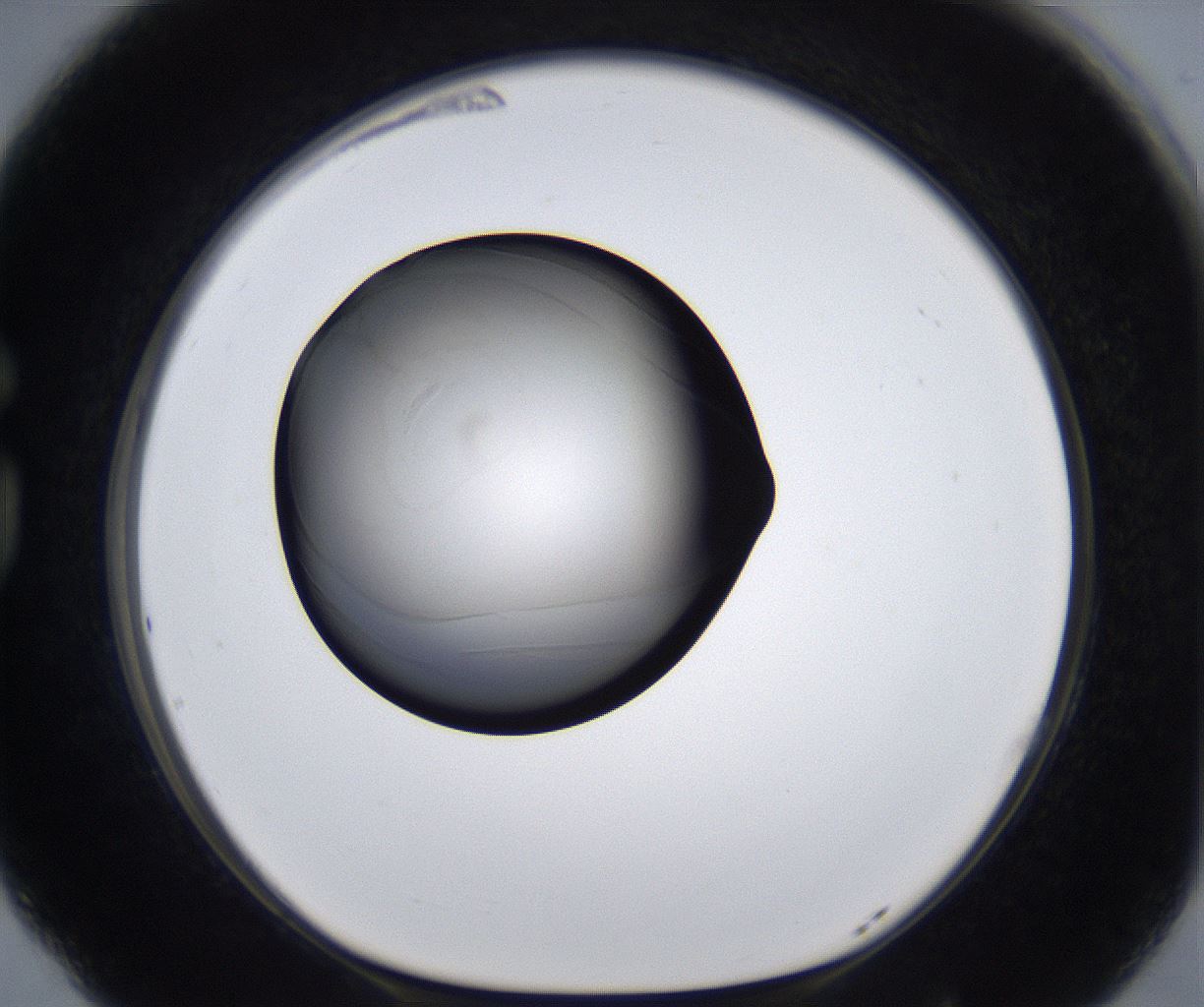folderID277_plateID2277_batchID10784_wellNum77_profileID1_d1_r158790_ef.jpg