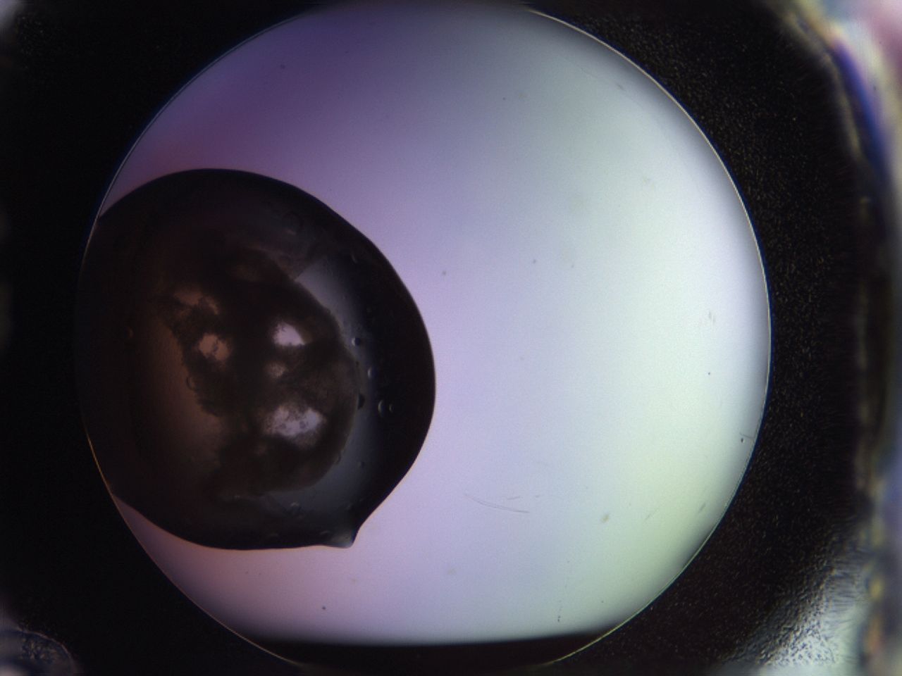 02vk_G12_ImagerDefaults_7.jpg