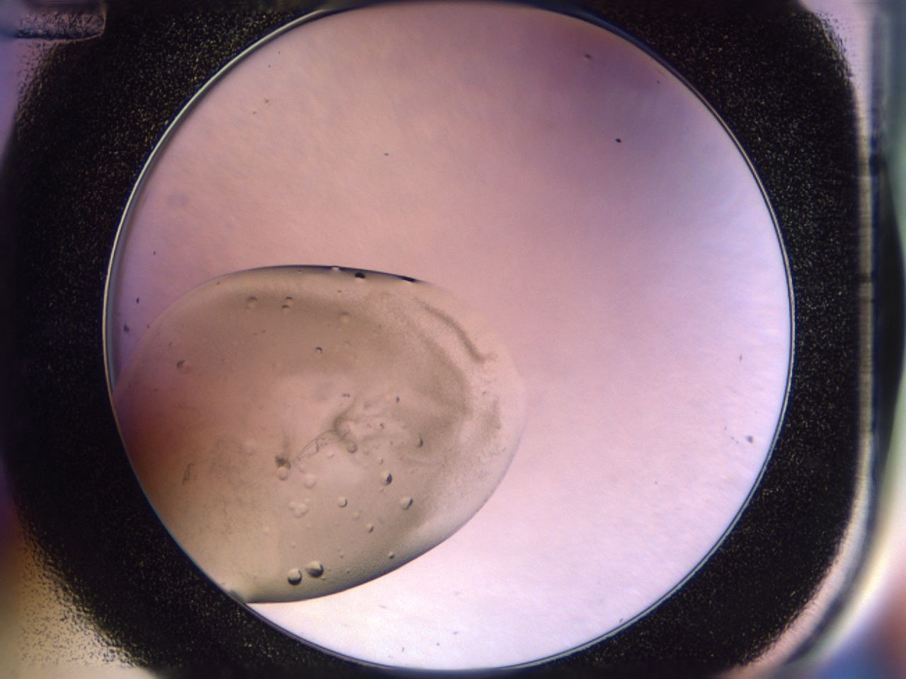02vl_C12_ImagerDefaults_7.jpg