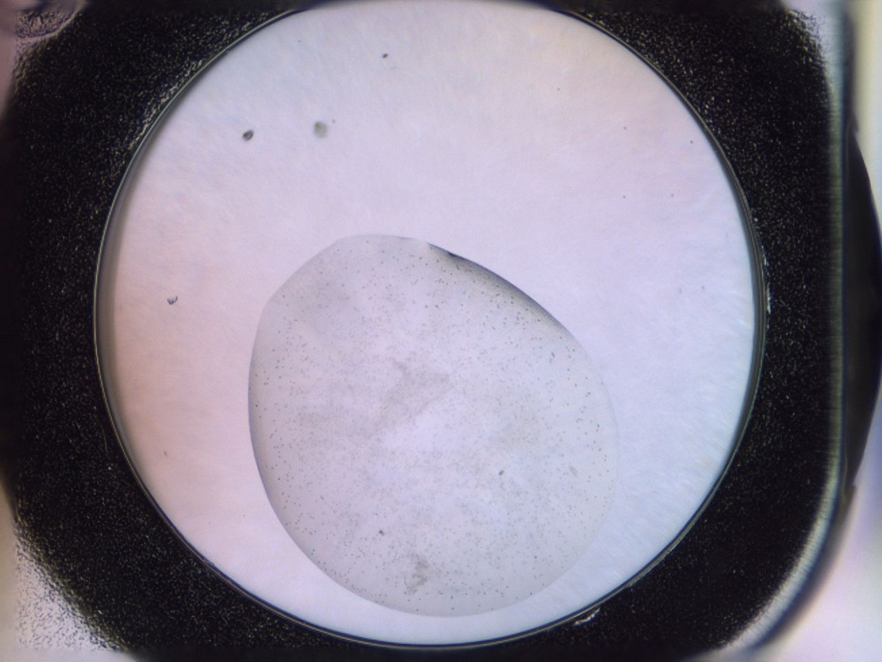 02vl_E10_ImagerDefaults_7.jpg
