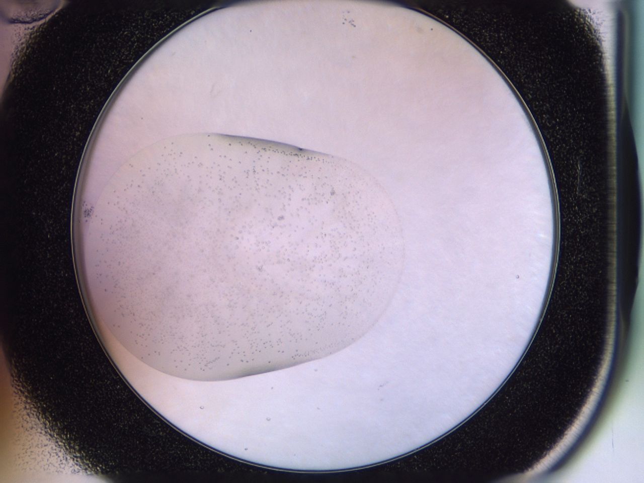 02vl_B10_ImagerDefaults_7.jpg