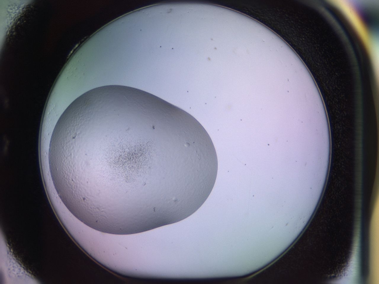 02wc_C4_ImagerDefaults_8.jpg